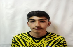 ایلیا زالی بوئینی