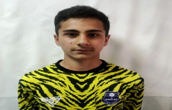 سیاوش شیبانی