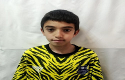 امیرحسام باقری