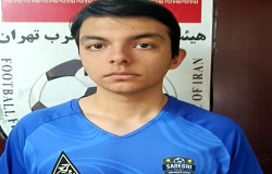 آرشا آشوبی