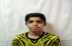 پارسا شریفی