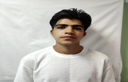 علیرضا موحدی نیا
