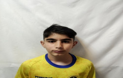 مهدیار ملکشاهی