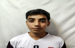 محمد مهدی توحیدلو