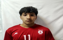 محمد میردار