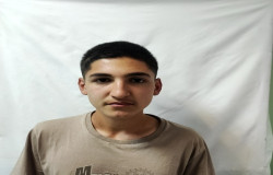 حامی محمدخانی