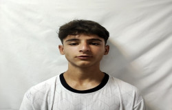 ماهان محمودی
