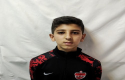 محمد شایان دارابی