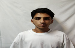 نوید نجفی