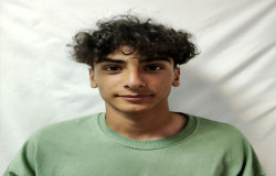 امیرعبدالله دلفی