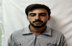 محمد حسنی