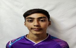 مهیار باقرزاده