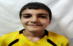 امیرمحمد حسنی