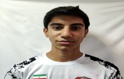 محمدهادی پاشایی مرنی