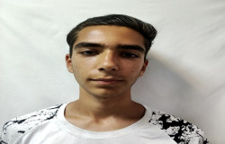 محمدماهان مقدسی