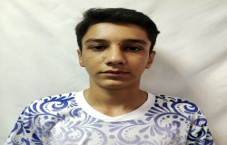 آرین عبادی