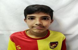 آریوبرزن امینی