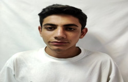 ماهان شیردلان