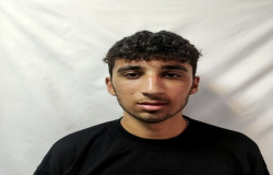 امید محمدی نسب