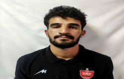 میثم همایی