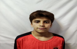 علی مدحی
