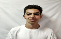 پارسا اکرمی