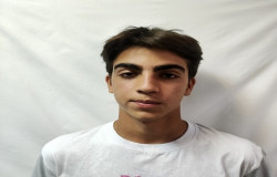 بردیا نقدی