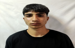 رضا فعله گری