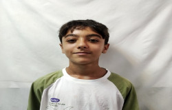 علی هنرور