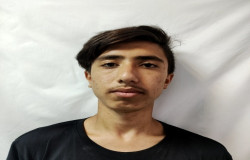 ایلیا کشاورز