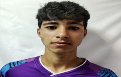 محمدحسام چم پوری