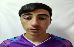 شایان احمدی نیا