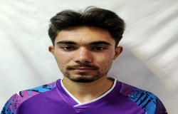 پیمان ساویز