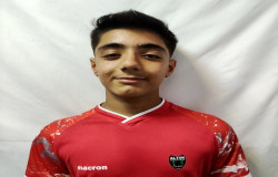 محمد فتاحیان