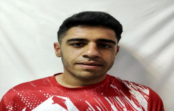 وحید افضلی
