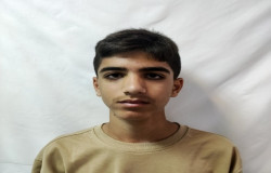 امیر علی مردانی
