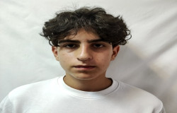 محمد حسین دهشیری
