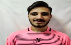 محمد جواد کاوند