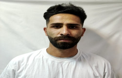 رضا بیگ لری