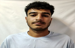محمد حسین عرب