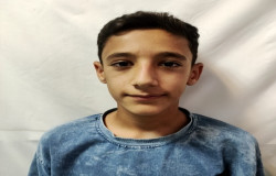 محمدپارسا امیری
