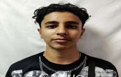 محمد امامی
