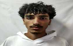 امیر محمد گودرزی