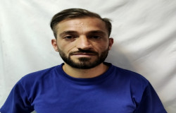 قاسم هاشمی