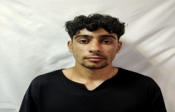 ایلیار شاهرخی