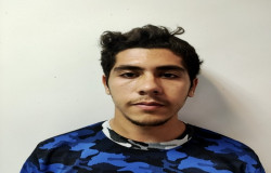 امير على زيورى فاضل