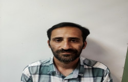 حامد صفارهرندی