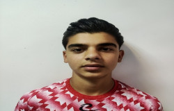 ایلیا دارابی