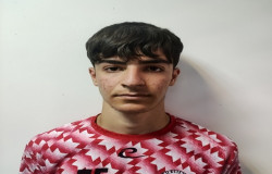 محمد جواد فرشته خو