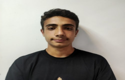 محراب طاووسی